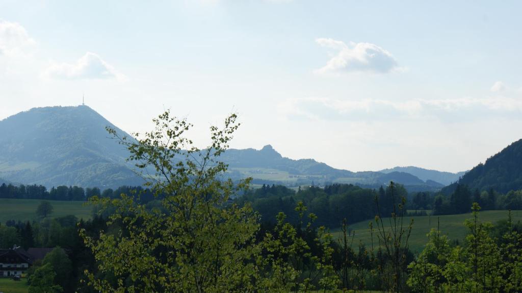 Pension Schierl Faistenau Cameră foto
